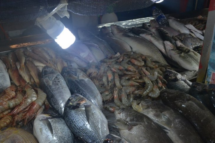 Balık fiyatlarının artışı mazota bağlı